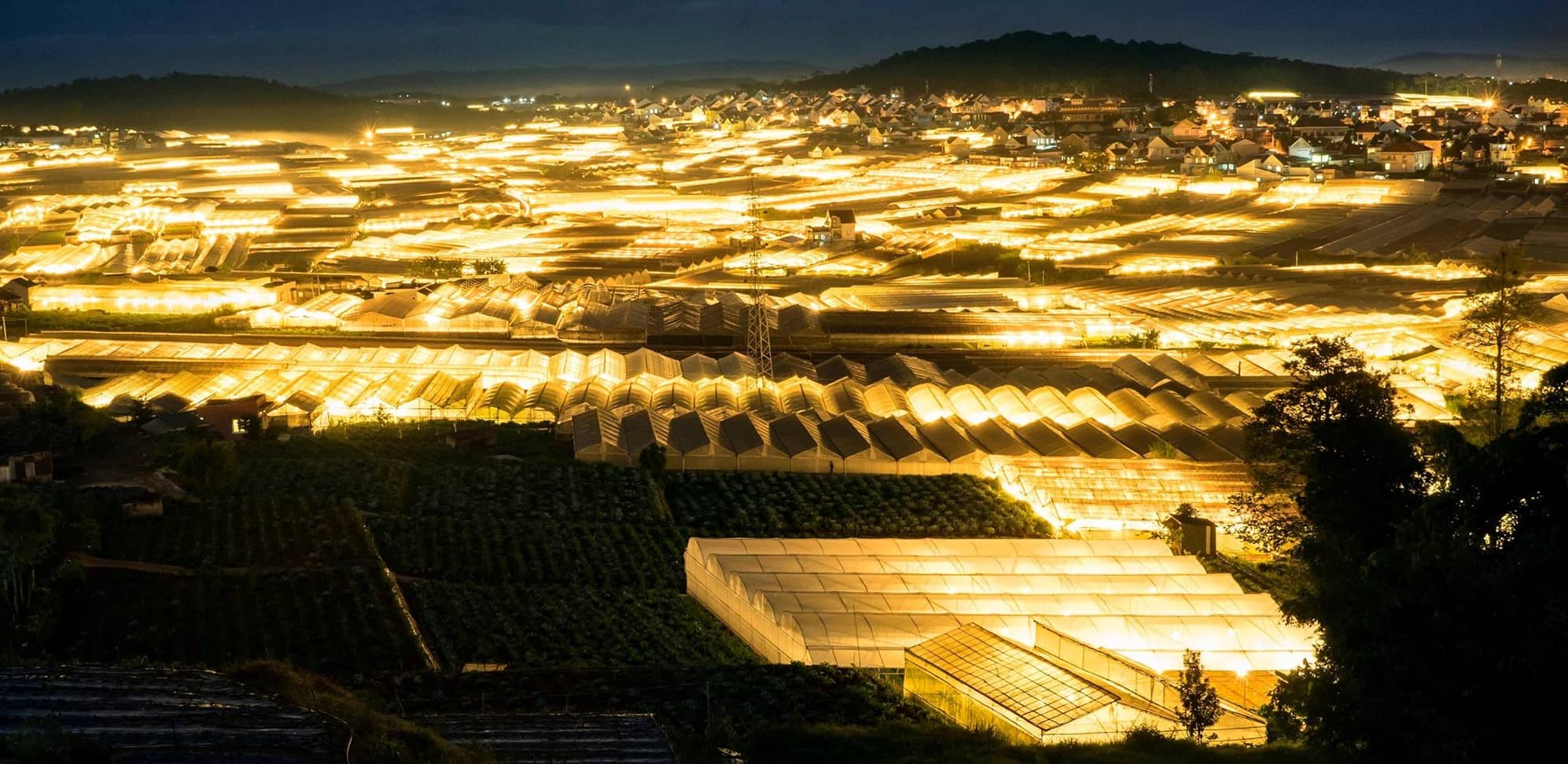 dalat night view