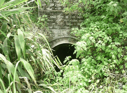 The secret tunnel in Dalat 3