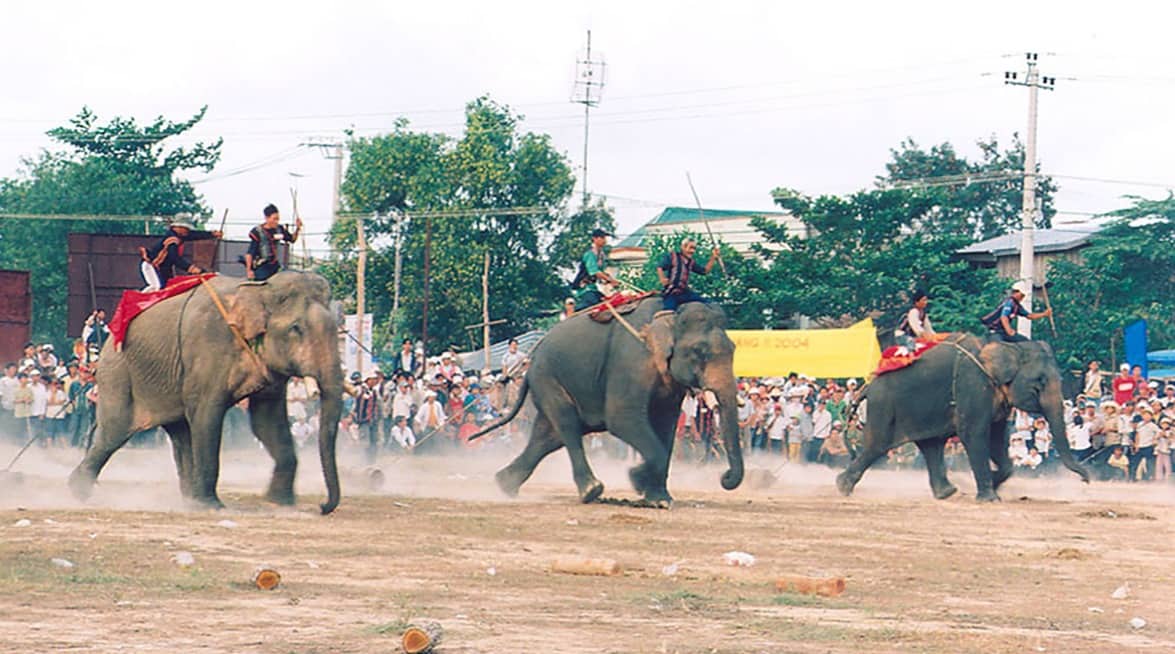 THE ELEPHANT RACING FESTIVAL IN DAKLAK 1