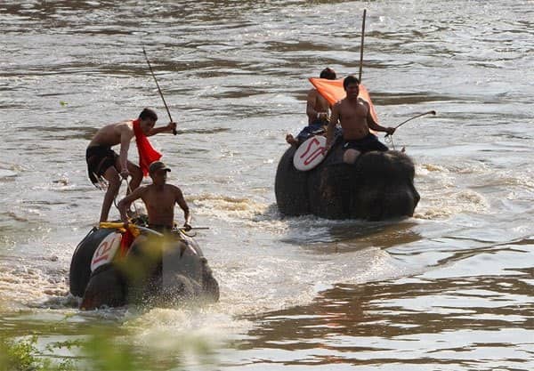 THE ELEPHANT RACING FESTIVAL IN DAKLAK 3