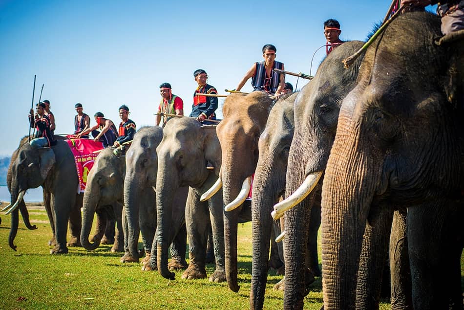 THE ELEPHANT RACING FESTIVAL IN DAKLAK 5